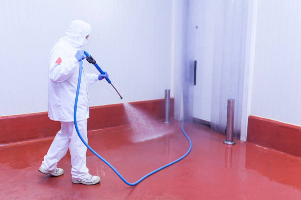 Boat and Dock Cleaning in Fairbanks, AK